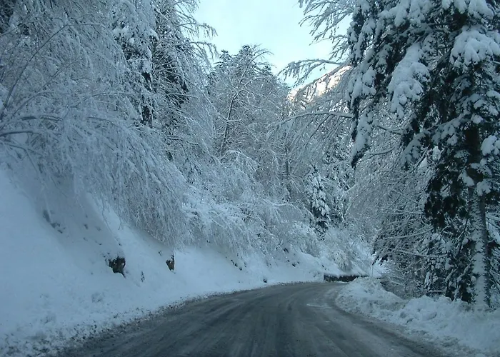 Appartement Cauterets 아파트