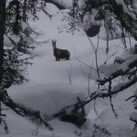 Appartement Cauterets *